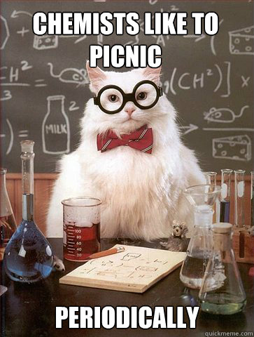 Chemists like to picnic Periodically  Chemist cat