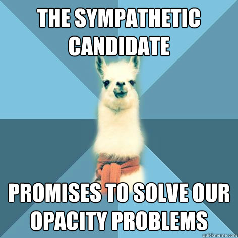 the Sympathetic candidate promises to solve our opacity problems  Linguist Llama