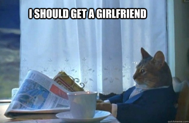 I should Get a girlfriend  Sophisticated Cat