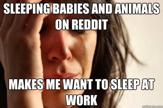 Sleeping babies and animals on Reddit makes me want to sleep at work  First World Problems