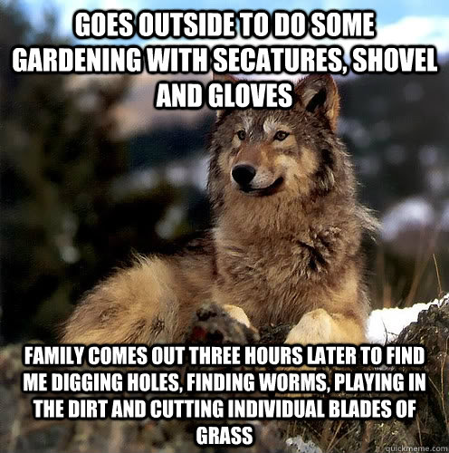 Goes outside to do some gardening with secatures, shovel and gloves Family comes out three hours later to find me digging holes, finding worms, playing in the dirt and cutting individual blades of grass - Goes outside to do some gardening with secatures, shovel and gloves Family comes out three hours later to find me digging holes, finding worms, playing in the dirt and cutting individual blades of grass  Aspie Wolf