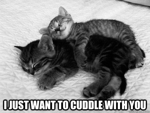  I just want to cuddle with you  I JUST WANT TO CUDDLE