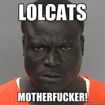 LOLCATS motherfucker! - LOLCATS motherfucker!  Harmless Black Guy