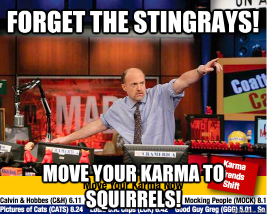 forget the stingrays! move your karma to squirrels!  move your karma now