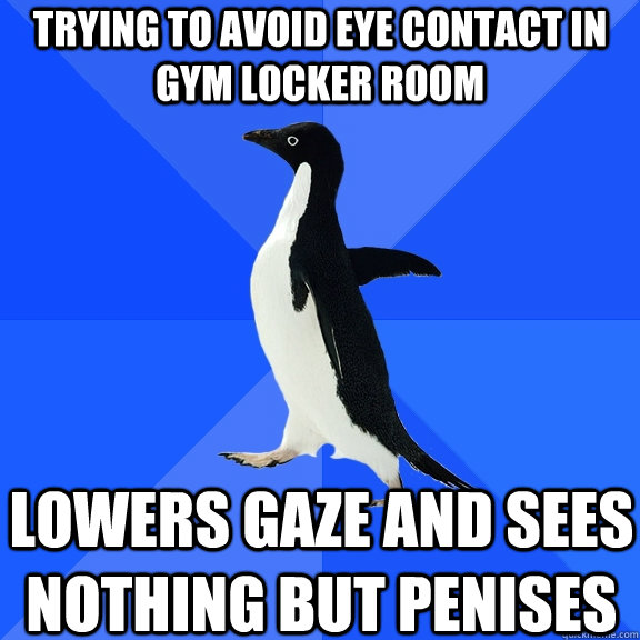 trying to avoid eye contact in gym locker room lowers gaze and sees nothing but penises  Socially Awkward Penguin