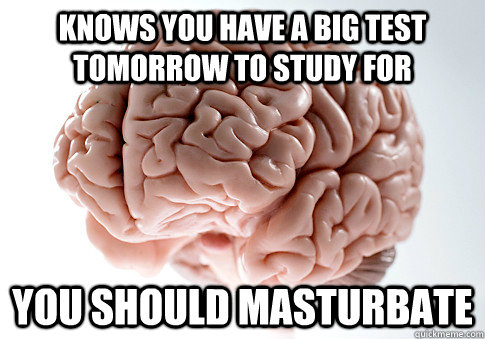 Knows you have a big test tomorrow to study for You should masturbate  Scumbag Brain