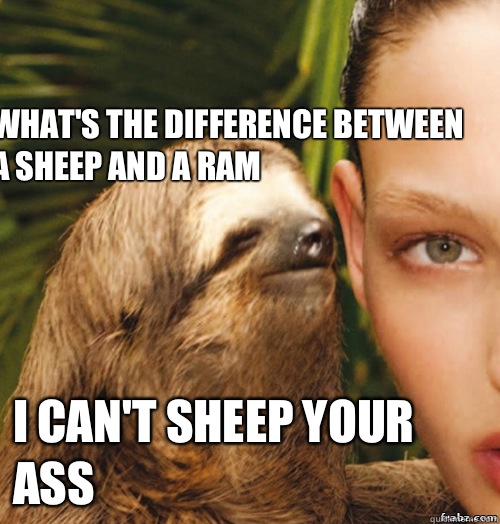What's the difference between a sheep and a ram I can't sheep your ass  rape sloth
