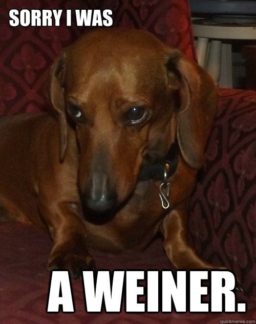 Sorry I was A weiner.  