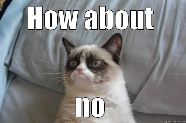 HOW ABOUT NO Grumpy Cat
