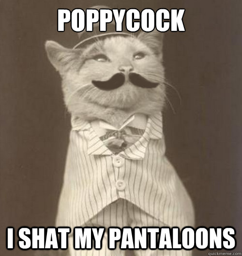 POPPYCOCK I Shat My Pantaloons  Original Business Cat
