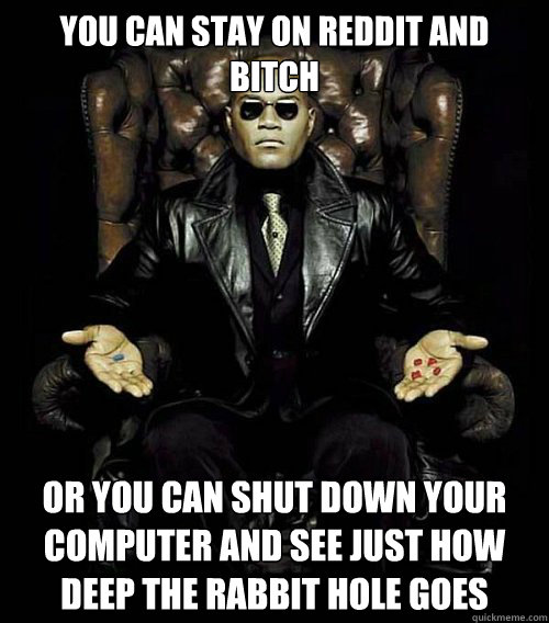 you can stay on reddit and bitch or you can shut down your computer and see just how deep the rabbit hole goes  Morpheus