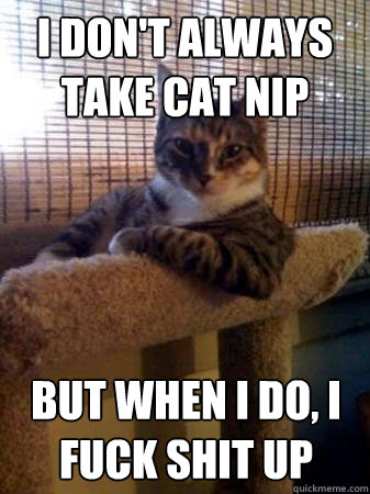 I don't always take cat nip But when I do, I fuck shit up  The Most Interesting Cat in the World