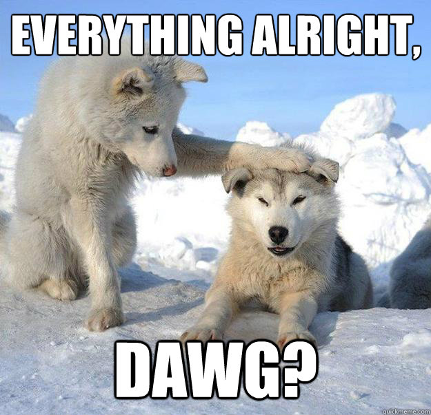 everything alright,
 dawg?  Caring Husky