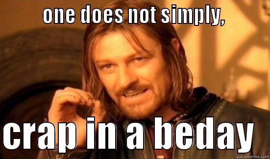         ONE DOES NOT SIMPLY,          CRAP IN A BEDAY  Boromir