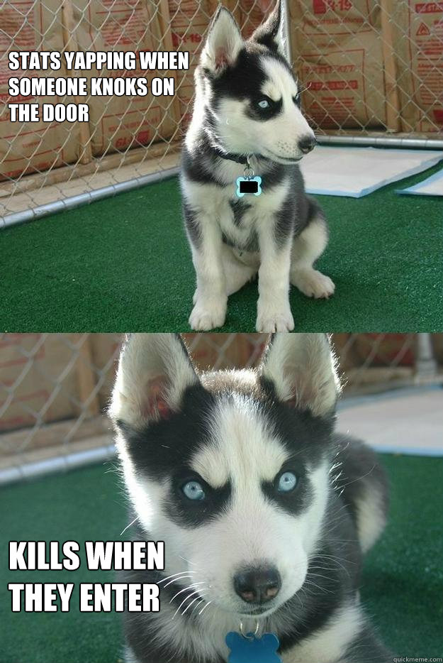 stats yapping when
someone knoks on
the door kills when
they enter  Insanity puppy
