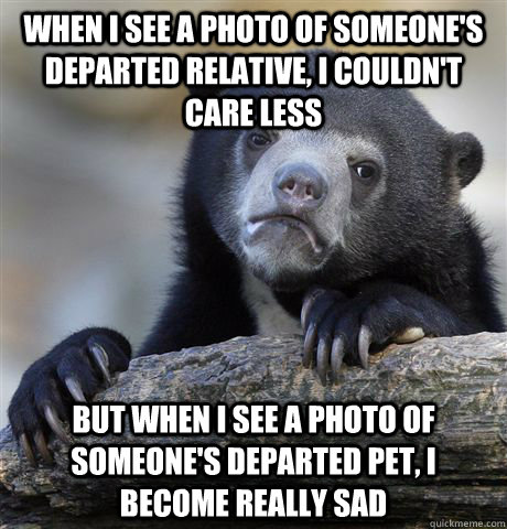 When i see a photo of someone's departed relative, i couldn't care less but when i see a photo of someone's departed pet, i become really sad  Confession Bear