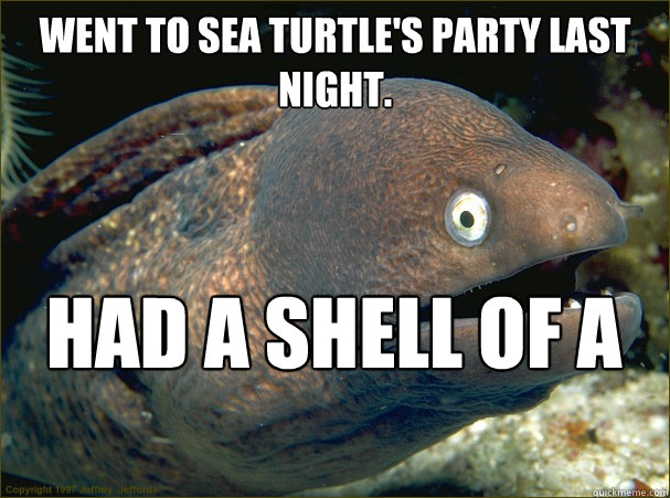 Went to sea turtle's party last night. Had a shell of a good time. - Went to sea turtle's party last night. Had a shell of a good time.  Bad Joke Eel
