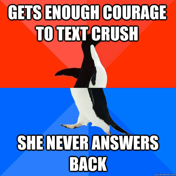 Gets enough courage to text crush She never answers back  Socially Awesome Awkward Penguin