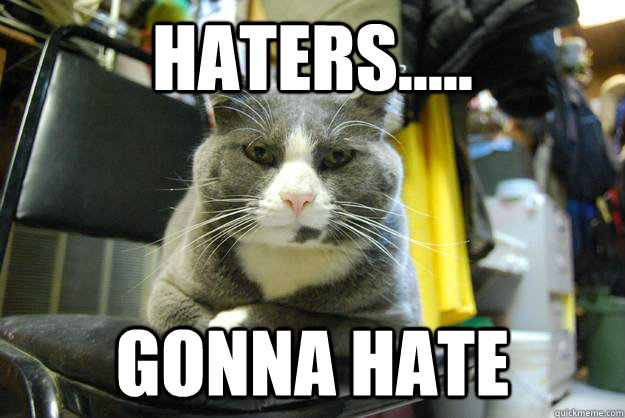 Haters..... gonna hate  Angry Cat