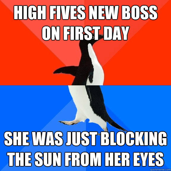 High fives new boss on first day she was just blocking the sun from her eyes  Socially Awesome Awkward Penguin