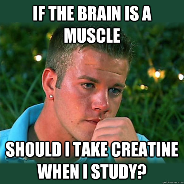 If the brain is a muscle should i take creatine when i study? - If the brain is a muscle should i take creatine when i study?  Bro Thoughts