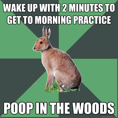 Wake up with 2 minutes to get to morning practice poop in the woods  Harrier Hare