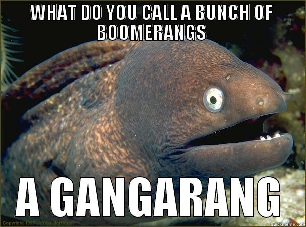 WHAT DO YOU CALL A BUNCH OF BOOMERANGS A GANGARANG Bad Joke Eel