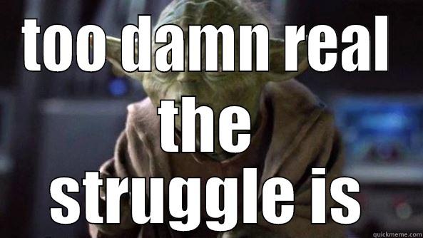 TOO DAMN REAL THE STRUGGLE IS True dat, Yoda.