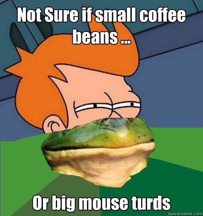 Not Sure if small coffee beans ... Or big mouse turds  