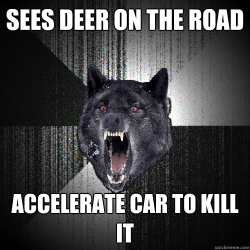 sees deer on the road accelerate car to kill it  insanitywolf