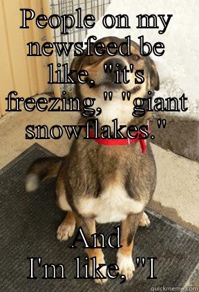 PEOPLE ON MY NEWSFEED BE LIKE, 