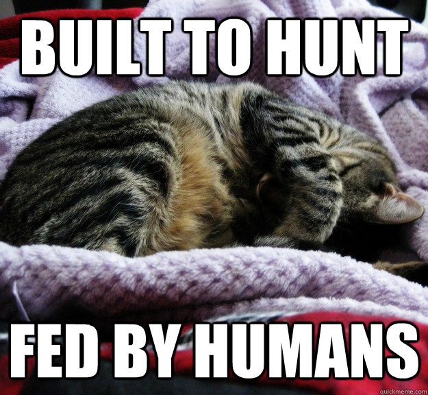 Built to hunt Fed by humans  - Built to hunt Fed by humans   Misc