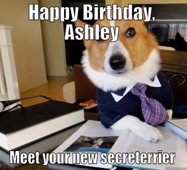 HAPPY BIRTHDAY, ASHLEY MEET YOUR NEW SECRETERRIER Lawyer Dog