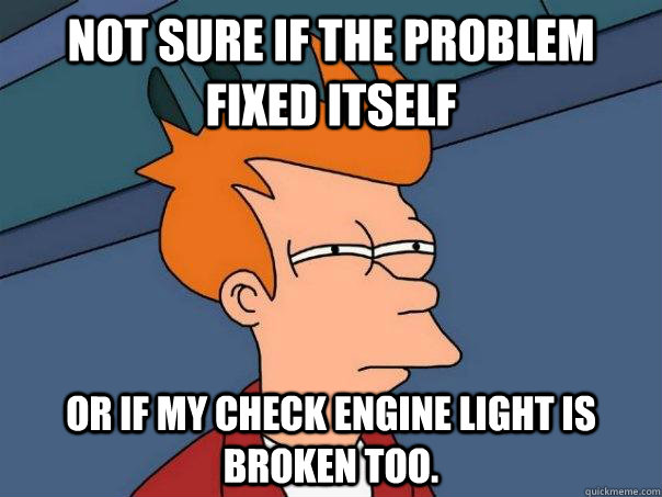 Not sure if the problem fixed itself Or if my check engine light is broken too.  Futurama Fry