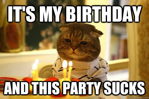 It's My Birthday and This party sucks - It's My Birthday and This party sucks  Dissapointed Birthday Cat