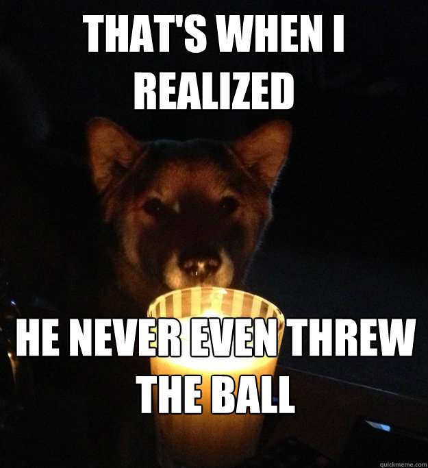 THAT'S WHEN I REALIZED he never even threw the ball  Scary Story Dog