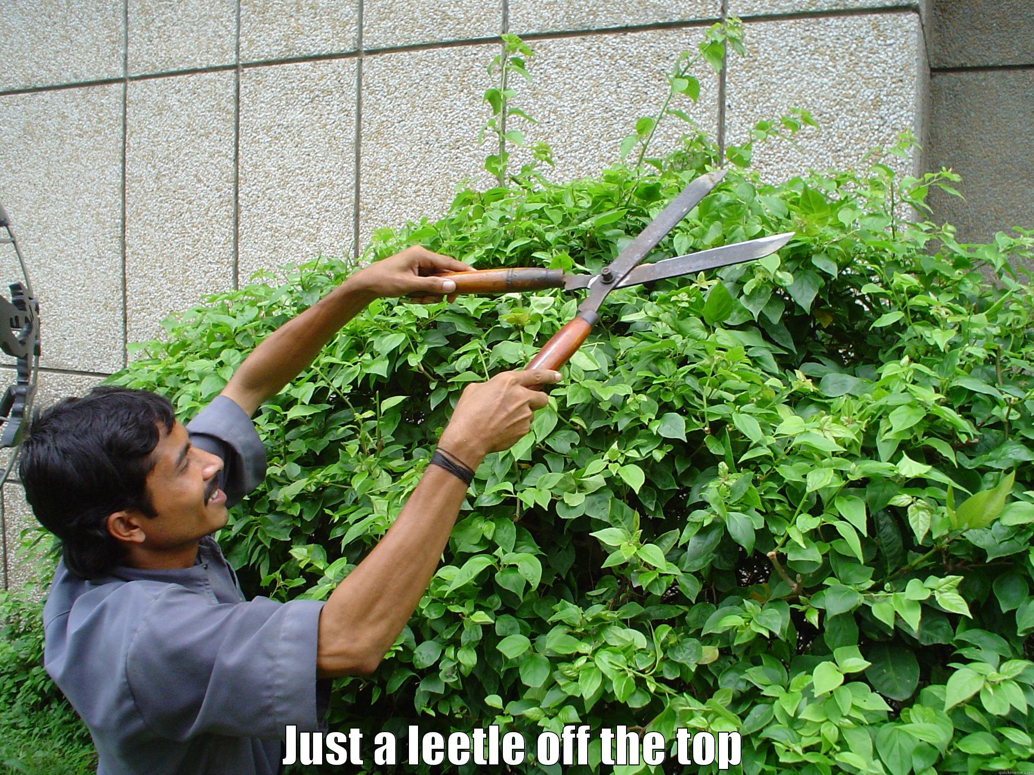  JUST A LEETLE OFF THE TOP Misc