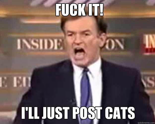 FUCK IT! I'll just post cats - FUCK IT! I'll just post cats  fuck it bill