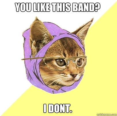 you like this band? i dont.  Hipster Kitty