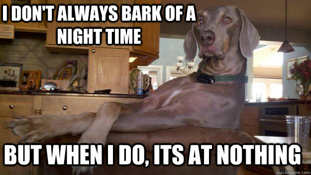 I don't always bark of a night time But when I do, Its at nothing  