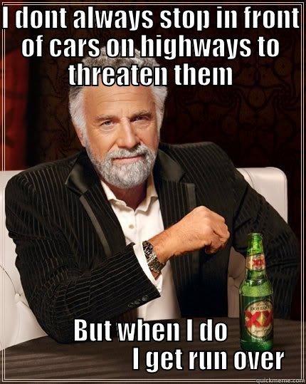 I DONT ALWAYS STOP IN FRONT OF CARS ON HIGHWAYS TO THREATEN THEM BUT WHEN I DO                        I GET RUN OVER The Most Interesting Man In The World