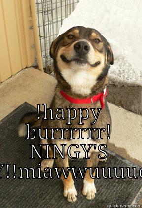  !HAPPY BURRRRRR! NINGY'S DAY!!MIAWWUUUUCHII Good Dog Greg