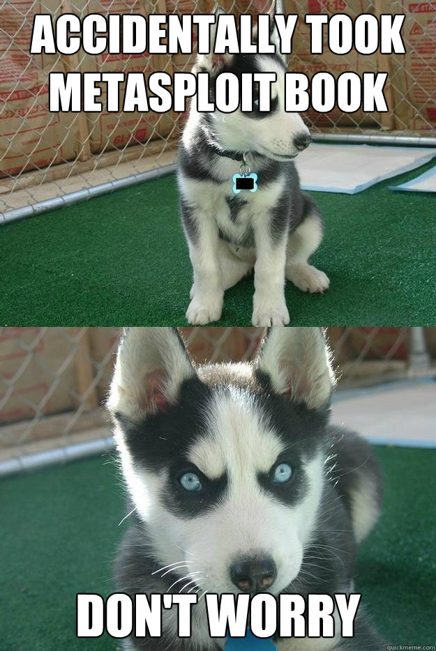 accidentally took metasploit book don't worry  Insanity puppy