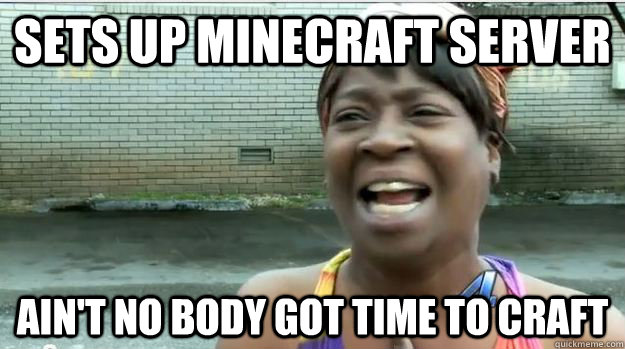 sets up minecraft server AIN'T NO BODY GOT TIME TO CRAFT  AINT NO BODY GOT TIME FOR DAT