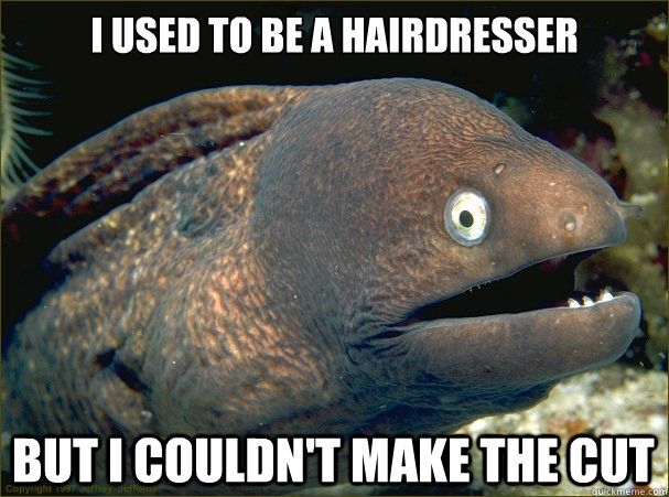 i used to be a hairdresser but i couldn't make the cut  Bad Joke Eel