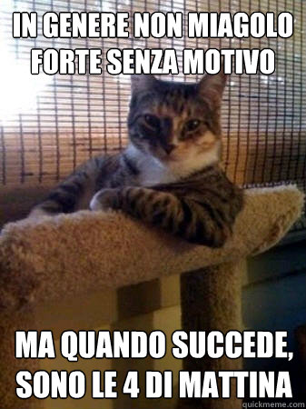 in genere non miagolo forte senza motivo ma quando succede, sono le 4 di mattina  The Most Interesting Cat in the World