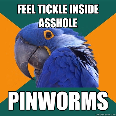 Feel tickle inside asshole pinworms  Paranoid Parrot