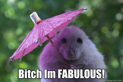  Bitch Im FABULOUS! -  Bitch Im FABULOUS!  Bitch im fabolous