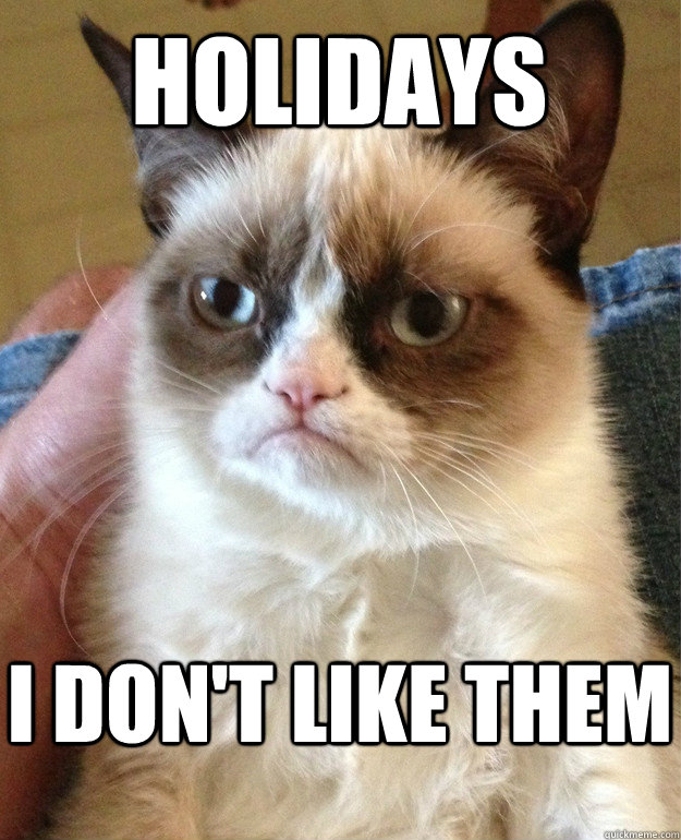 HOLIDAYS i don't like them  Grumpy Cat