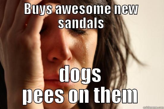 BUYS AWESOME NEW SANDALS DOGS PEES ON THEM First World Problems